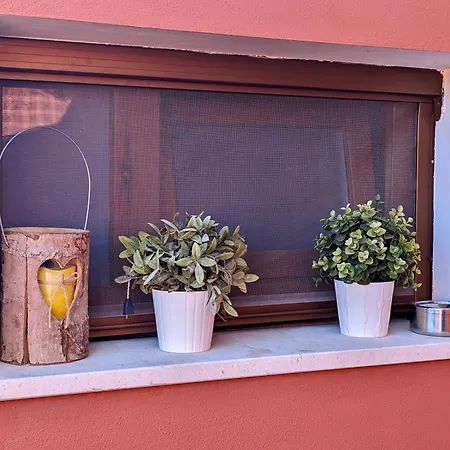 Cozy Family Retreat/ 5 Pl/ 1h Drive From Venice Apartment *